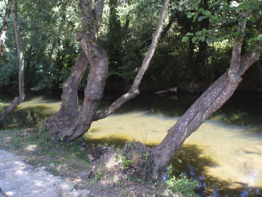 Moinho Da Ponte Velha Guest House Bragança Екстериор снимка
